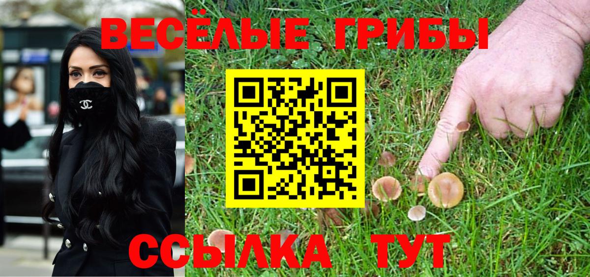 Галлюциногенные грибы ЛСД  Вход с VPN  Галлюциногенные грибы MAGIC MUSHROOMS  Джанкой 